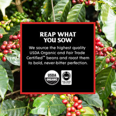 Light Roast + Medium Roast Bundle